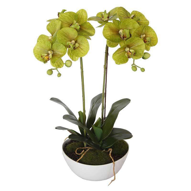 Artificial Orchid 50cm