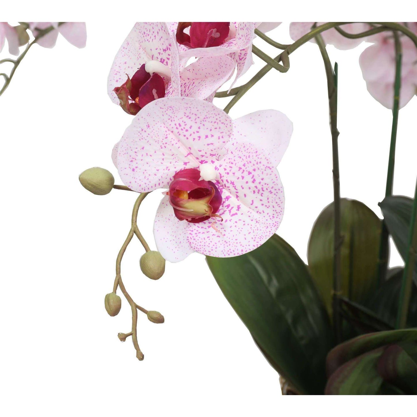 Artificial Pink Butterfly Orchid 66cm