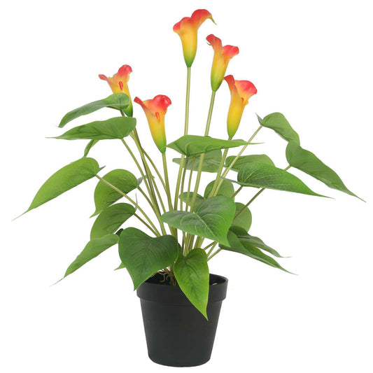 Artificial Flowering White & Orange Peace Lily 50cm