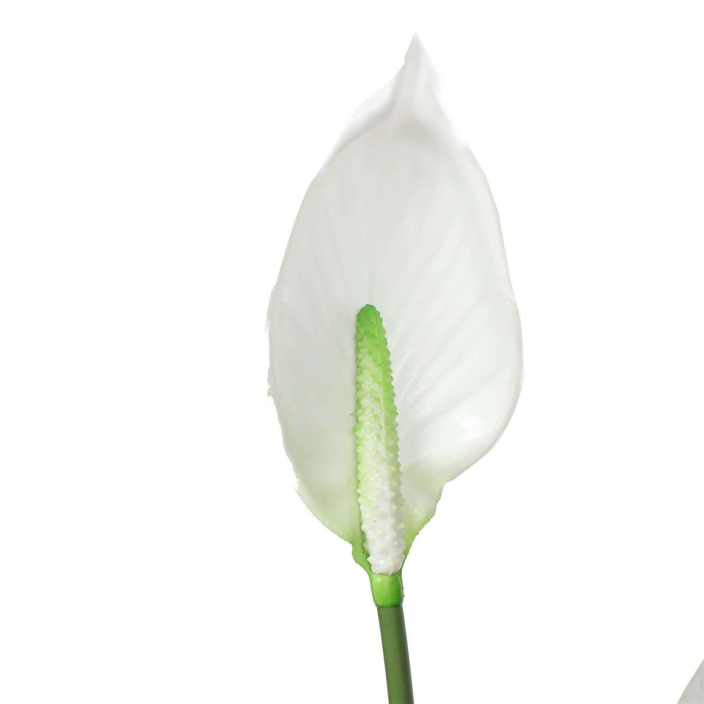 Artificial Flowering White Peace Lily 95cm