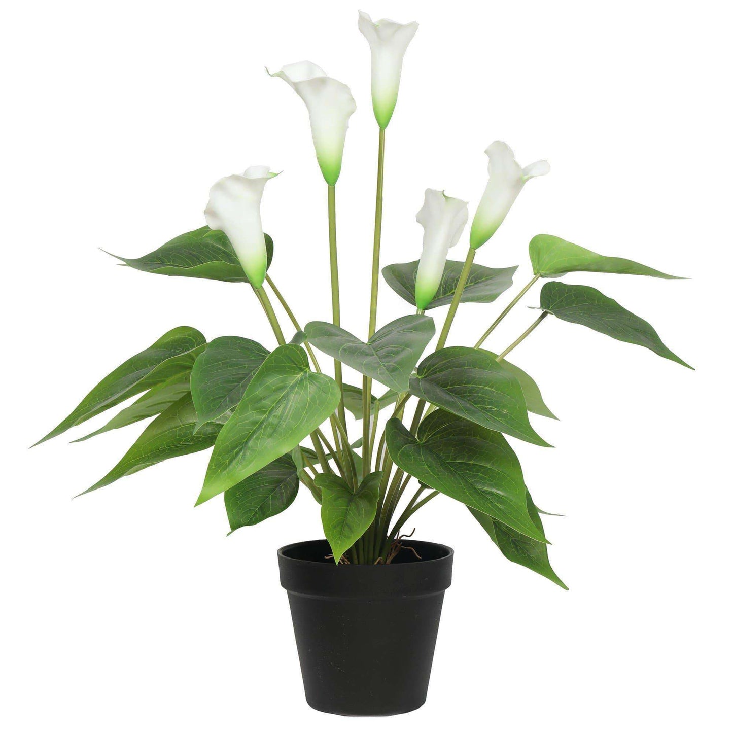 Artificial Flowering White Peace Lily 50cm