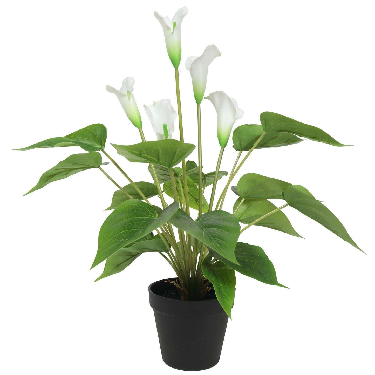 Artificial Flowering White Peace Lily 50cm