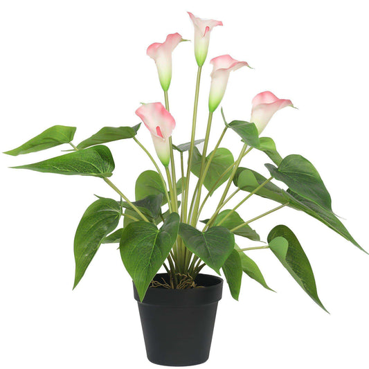 Artificial Flowering White & Pink Peace Lily 50cm