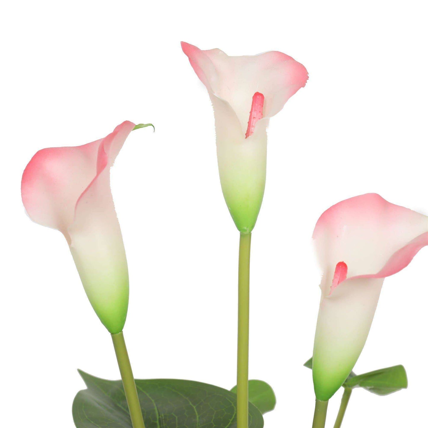 Artificial Flowering White & Pink Peace Lily 50cm