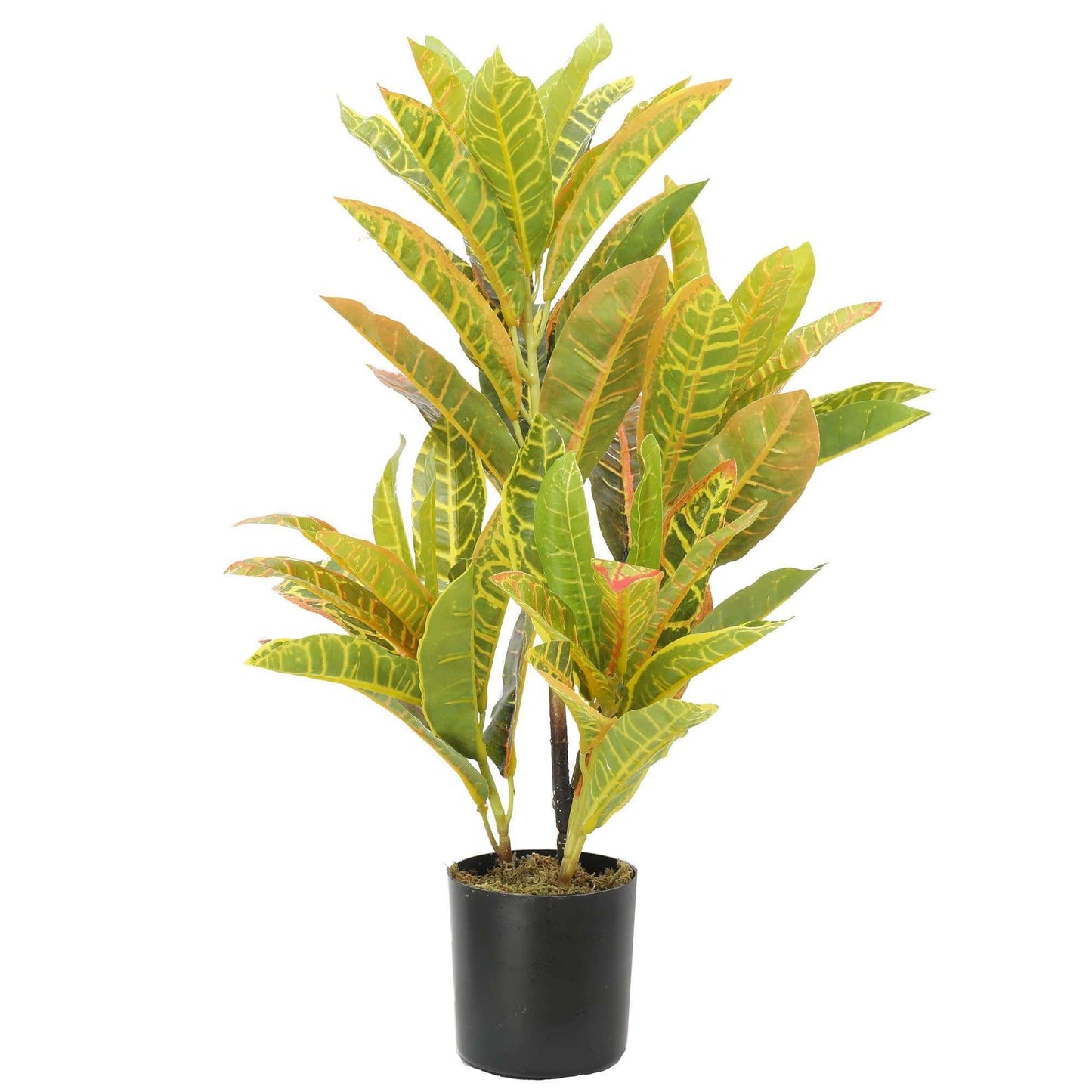 Artificial Potted Flaming Zebra 55cm