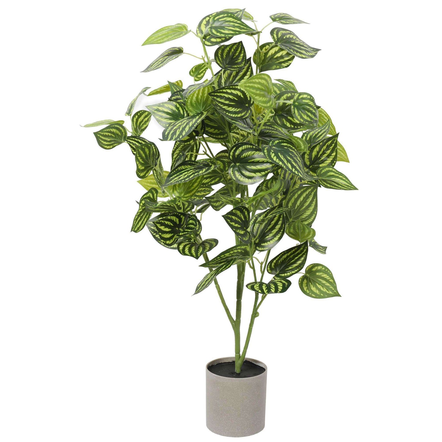 Artificial Bright Mixed Philodendron Plant 70cm