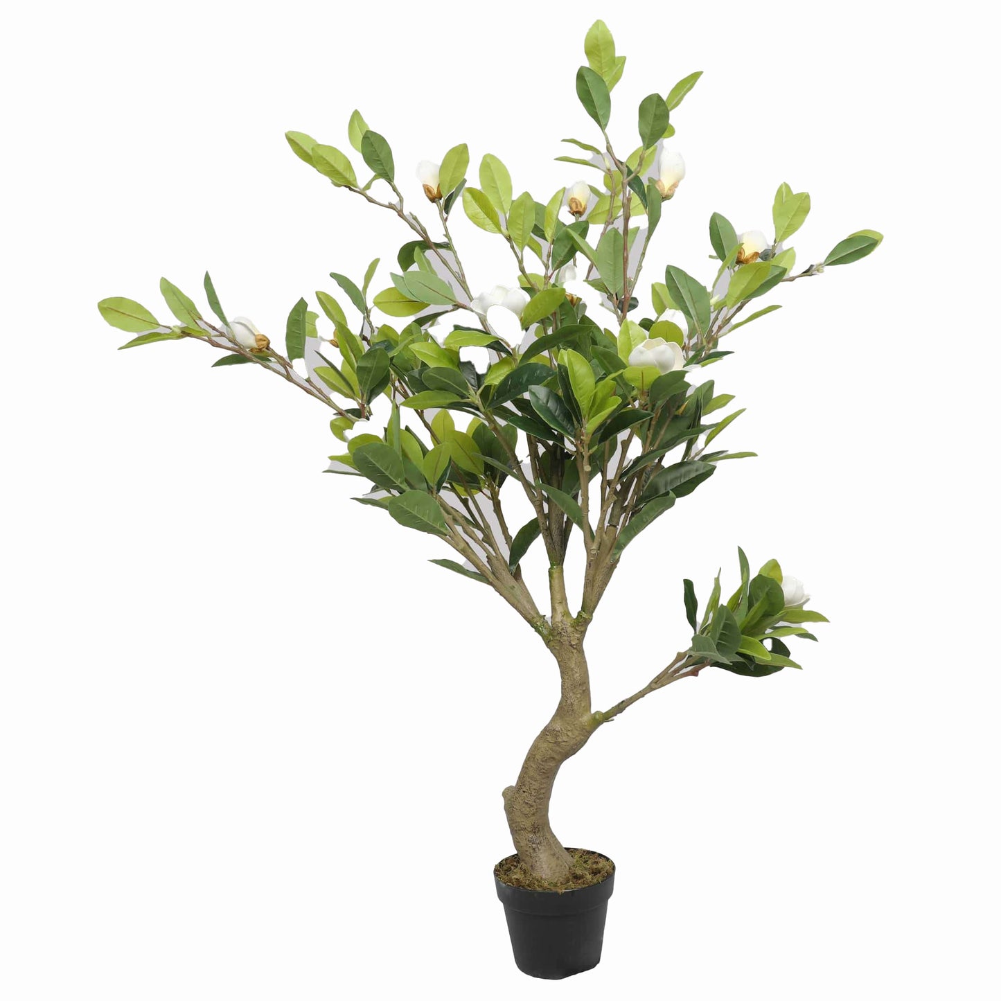 Artificial Potted Magnolia Tree with Stunning White Flowers 130cm