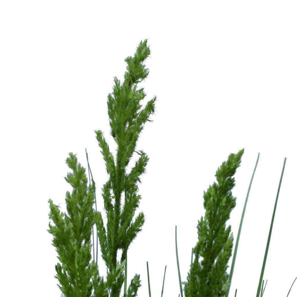 Artificial Flowering Native Grass 120cm