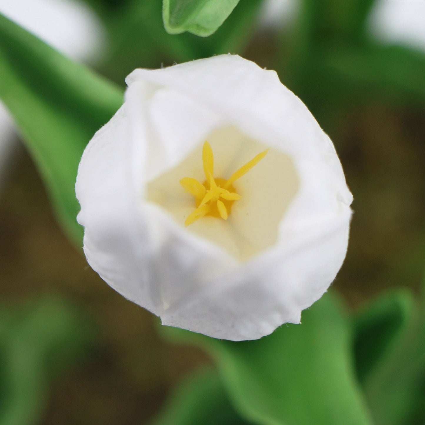 Artificial Flowering White Tulip Plant Arrangement