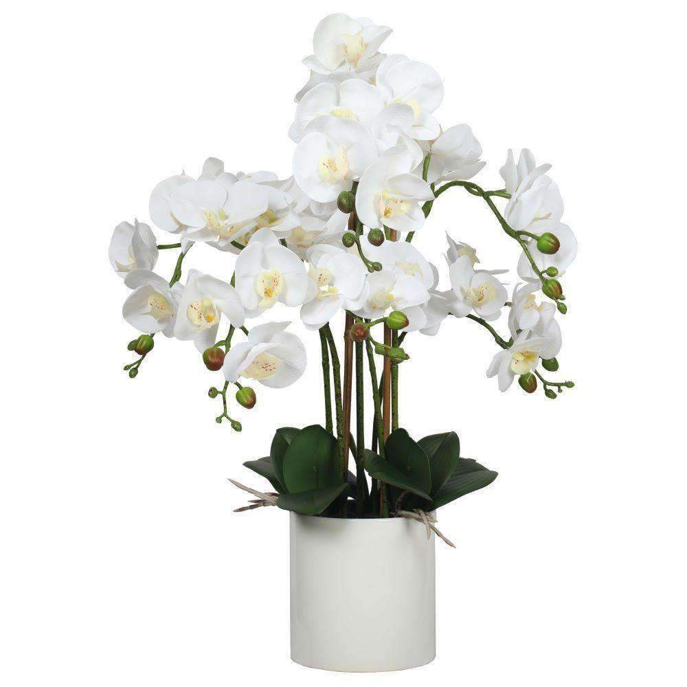 Artificial Multi-Stem White Orchid 65cm