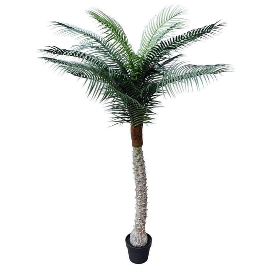 Artificial outdoor Tropical Phoenix Palm 190cm - UV Resistant