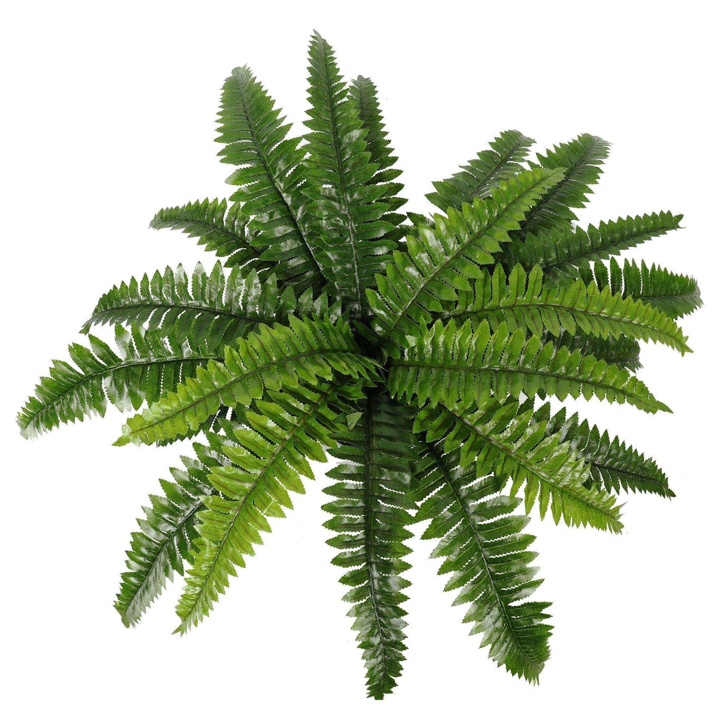 Artificial Boston Fern 50cm