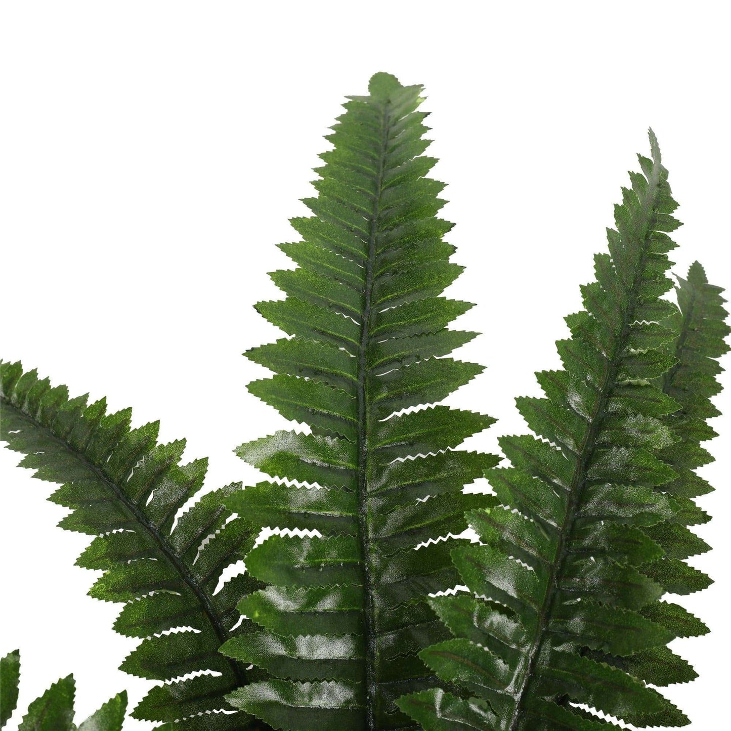 Artificial Boston Fern 50cm