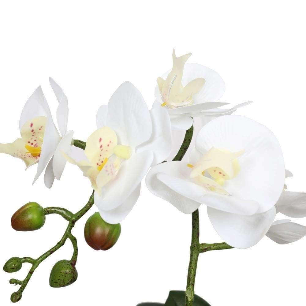 Artificial White Phalaenopsis Orchid 35cm