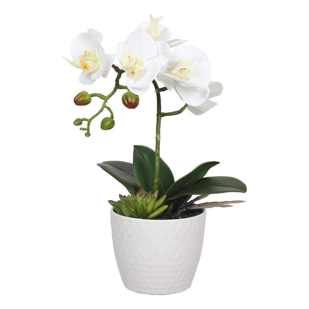 Artificial White Phalaenopsis Orchid 35cm