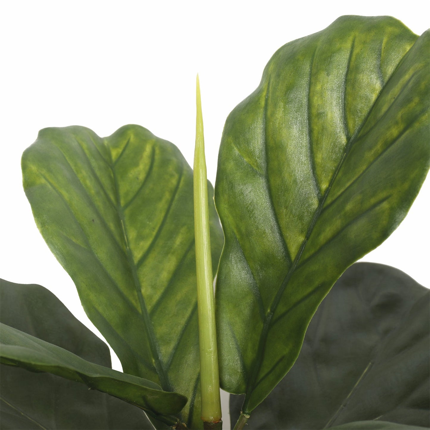 Artificial Handcrafted Fiddle Leaf Fig 125cm