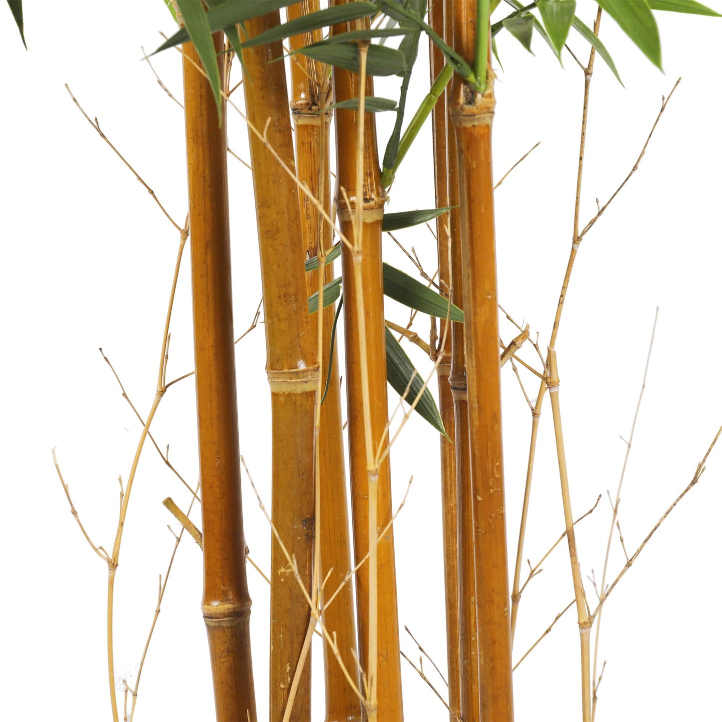 Artificial Natural Cane Bamboo 180cm - UV Resistant