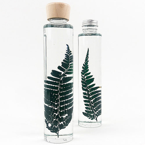 Verdant Frond Preserved Flower Bottle