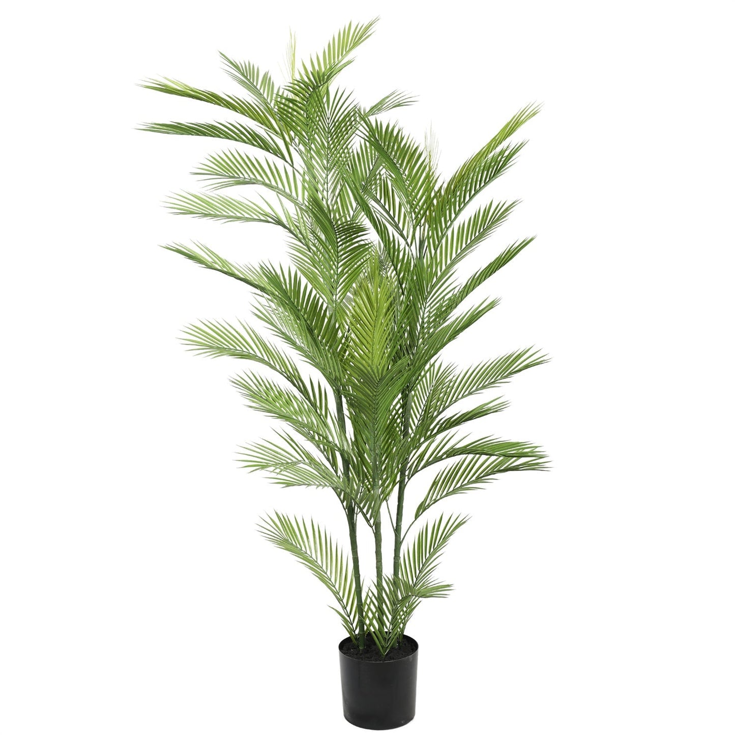 Artificial Phoenix Palm Tree 180cm - Real touch - UV resistant