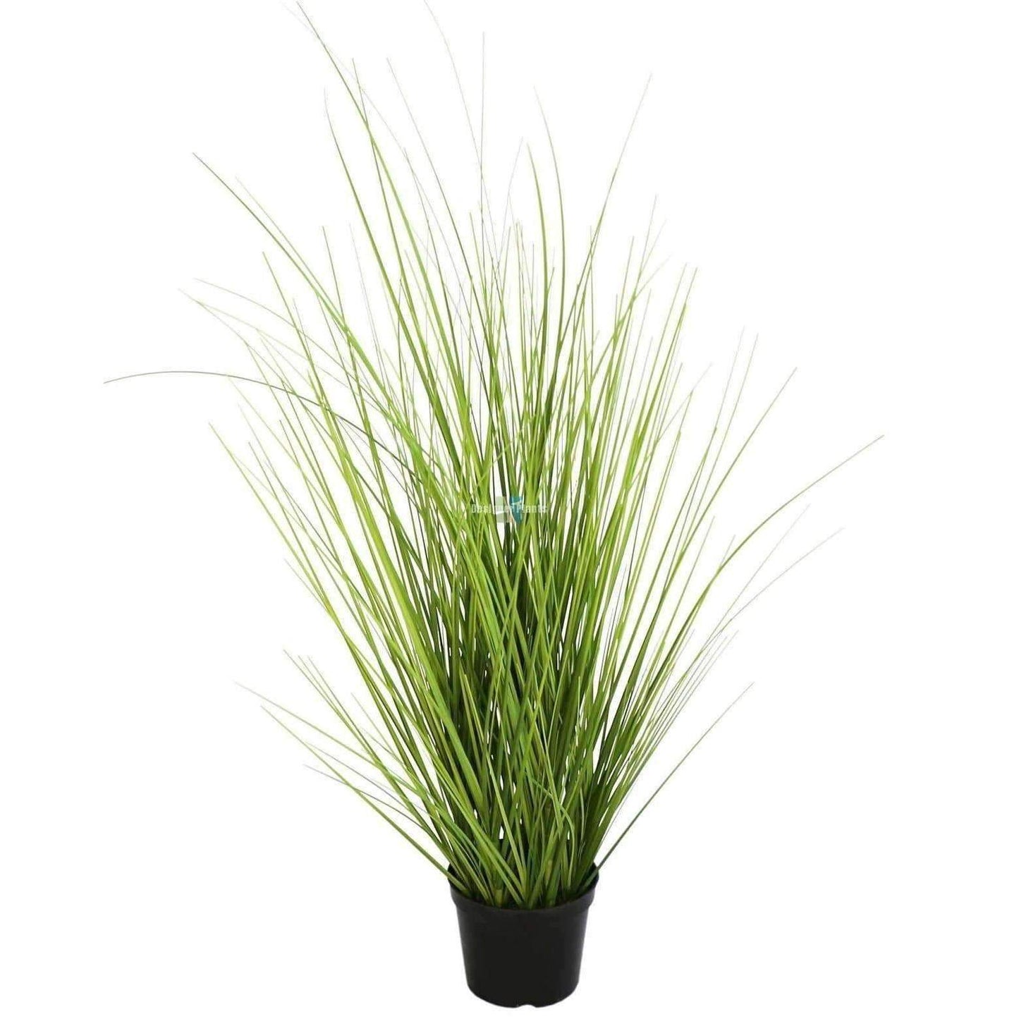 Artificial Grass Plant 70cm